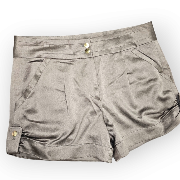 Diane Von Furstenberg Pants - Diane Von Furstenberg Ramier Silk Shorts Size 10 Mink Color